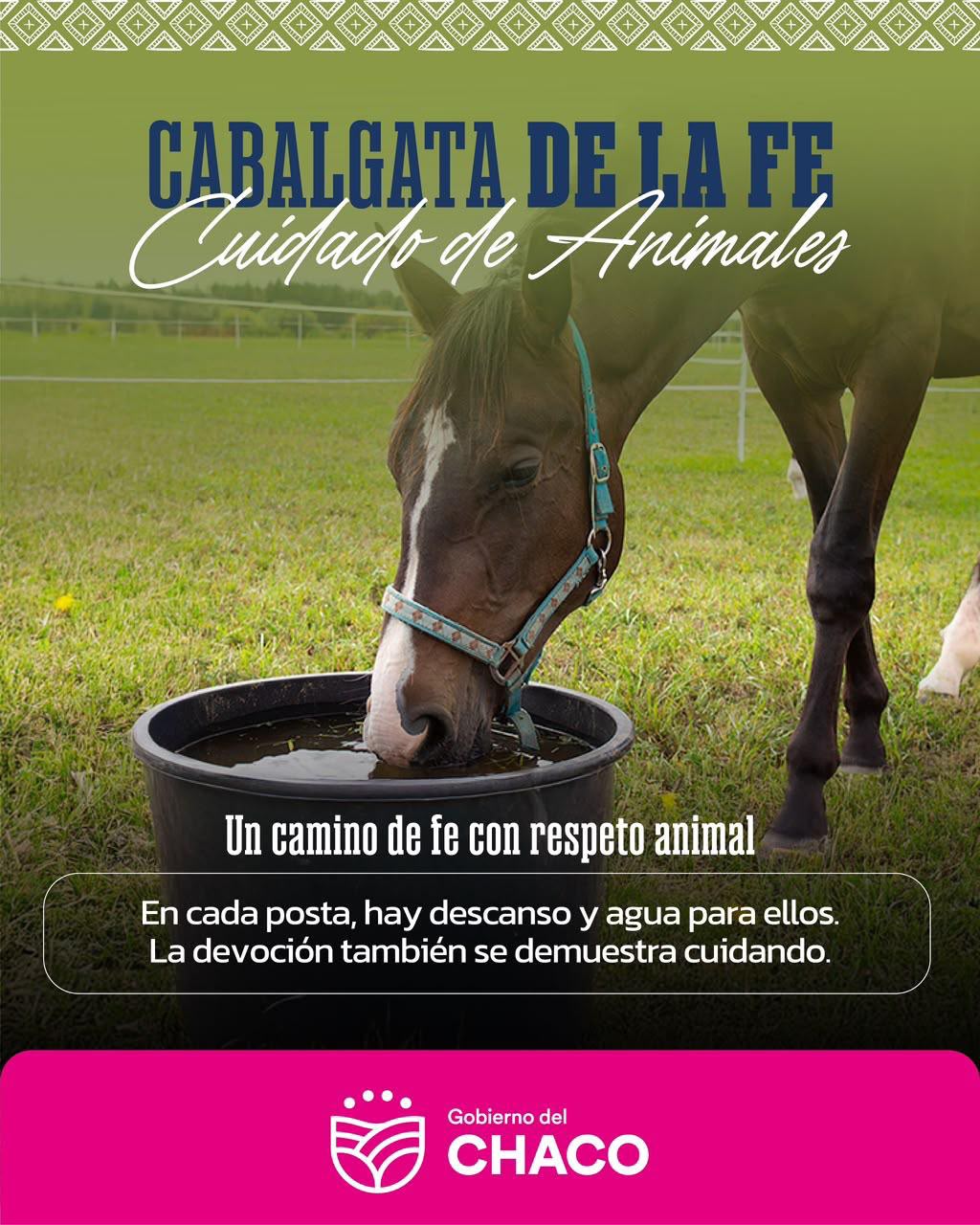 *CABALGATA DE LA FE 2026: EL GOBIERNO DEL CHACO REFUERZA EL PLAN DE BIENESTAR ANIMAL PARA PROTEGER A LOS CABALLOS DURANTE LA PEREGRINACI&Oacute;N*