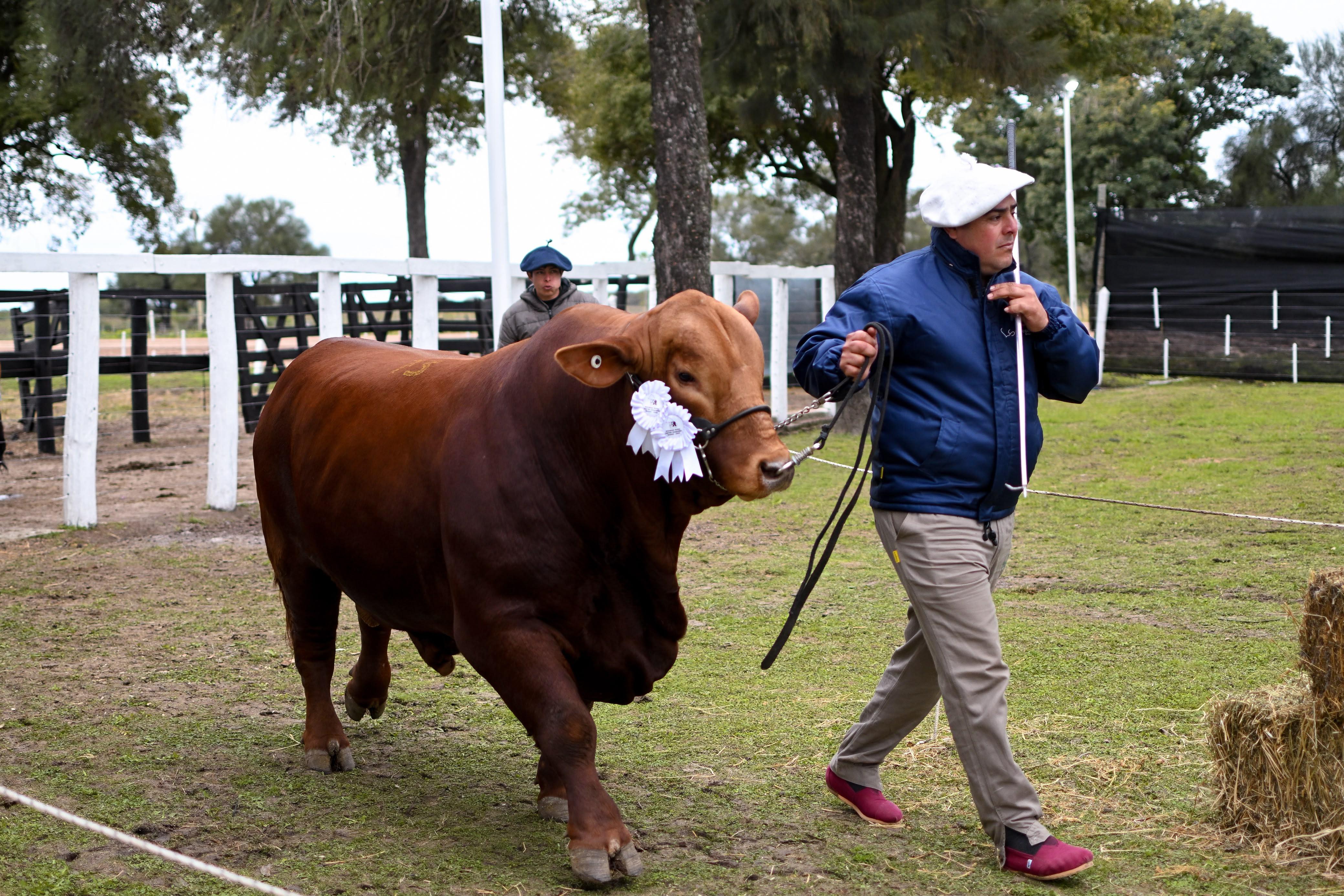 *81ª EXPOSICIÓN GANADERA DE MACHAGAI: “CUANDO AL CAMPO LE VA BIEN, LE VA BIEN AL CHACO Y AL PAÍS” EXPRESÓ ZDERO*