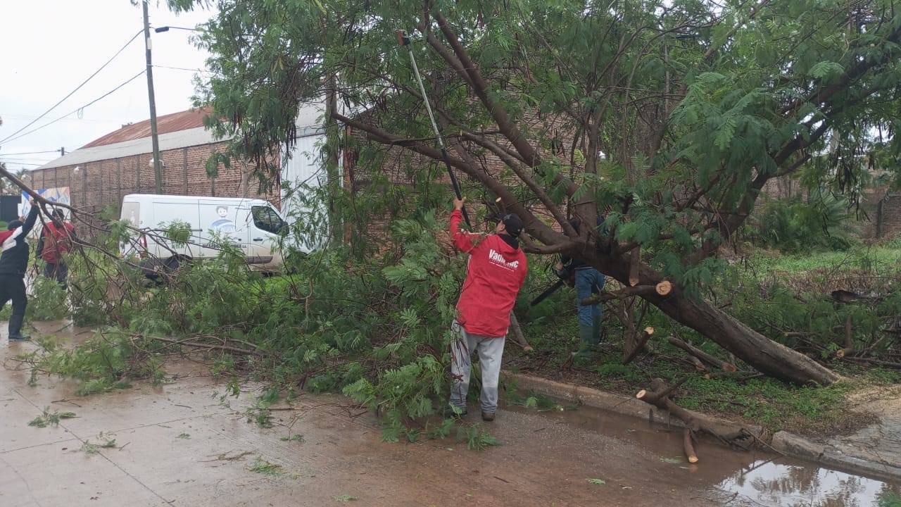 TRAS LA TORMENTA, EL MUNICIPIO DESPLIEGA CUADRILLAS EN DISTINTOS SECTORES DE LA CIUDAD