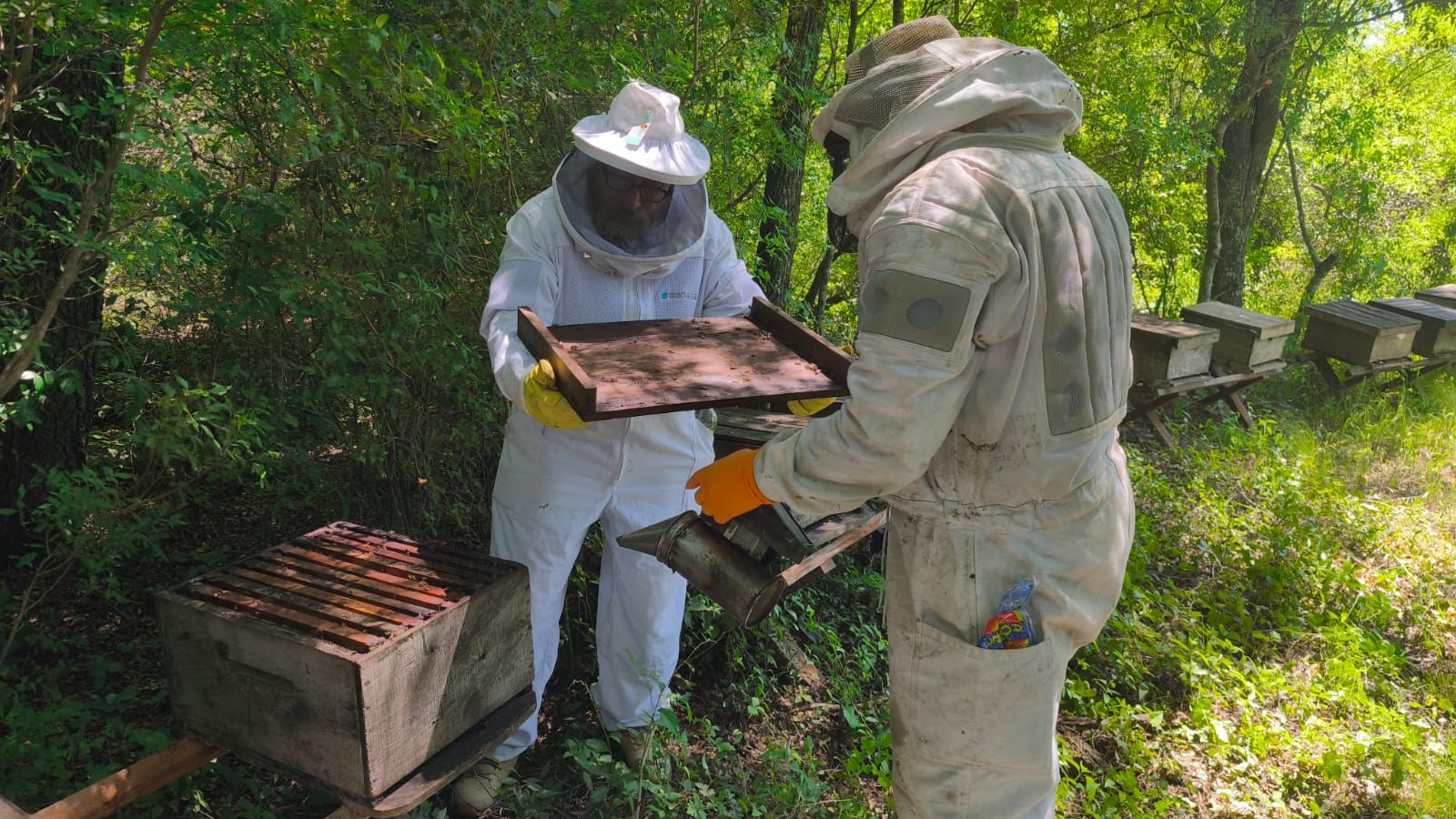 *COMPROMISO CON LA CALIDAD: EXAMEN REGIONAL PARA NUEVOS INSPECTORES SANITARIOS APÍCOLAS DE CHACO Y FORMOSA*