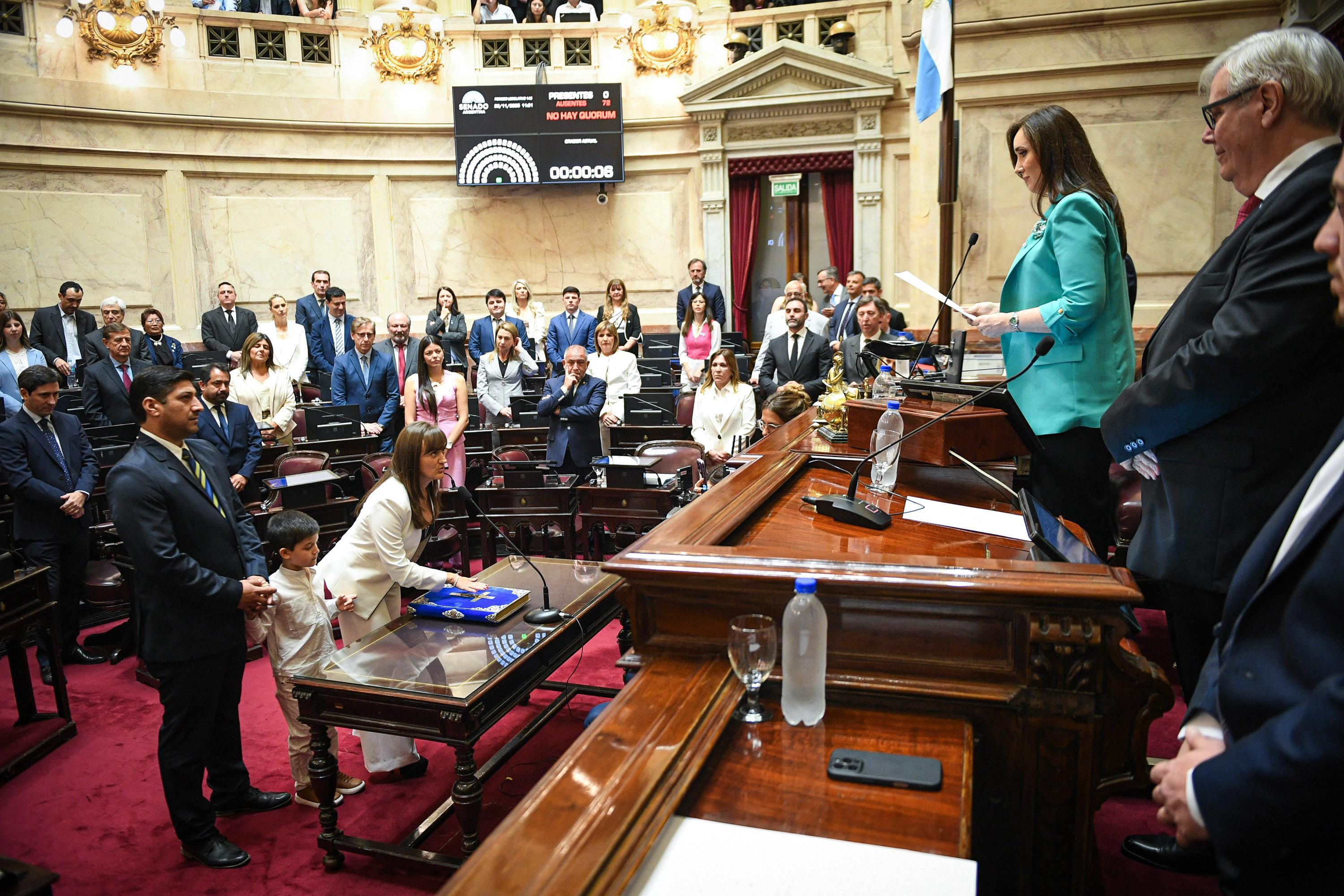 *SILVANA SCHNEIDER JURÓ COMO SENADORA NACIONAL*