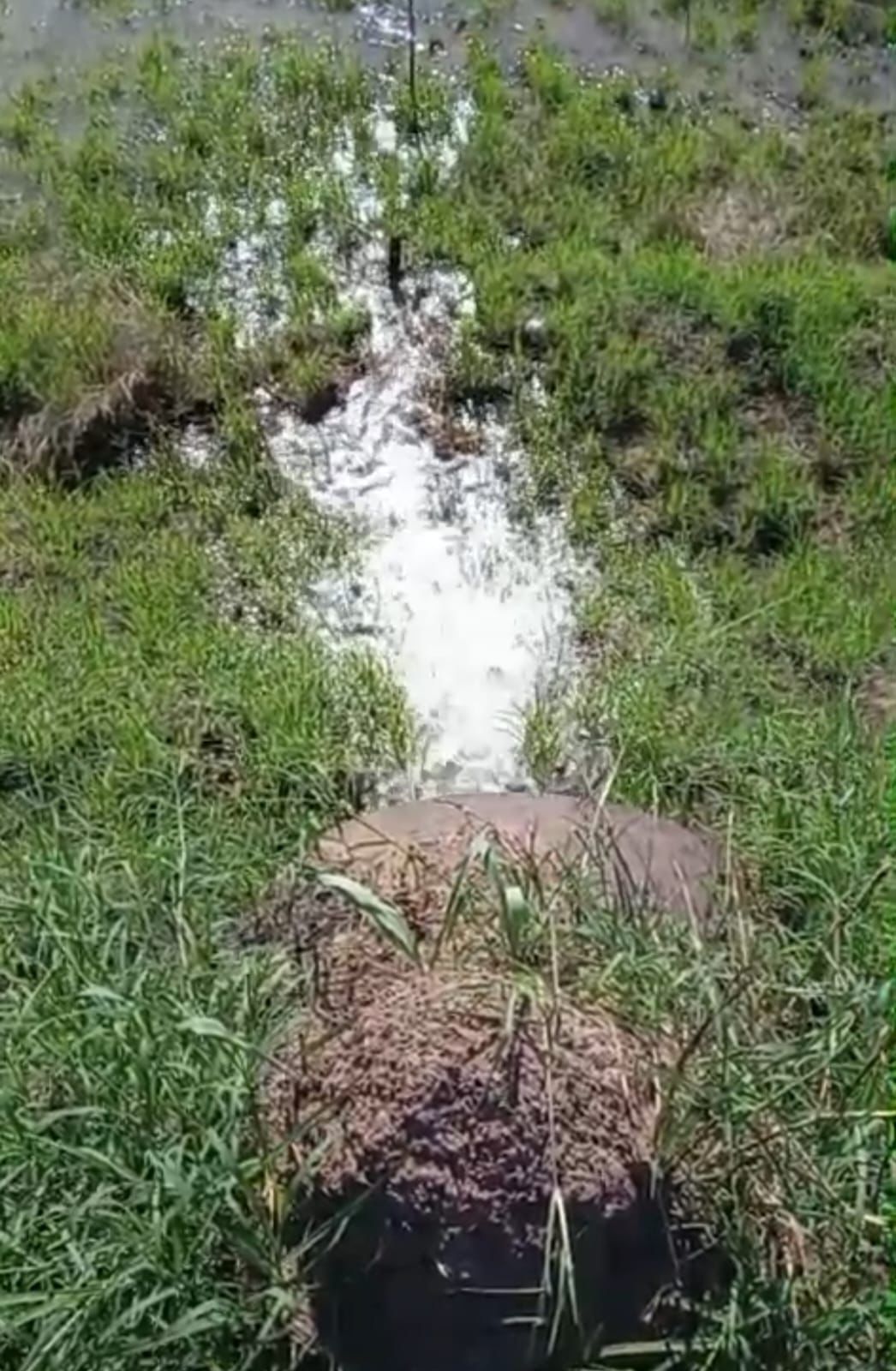 *SAMEEP TRABAJA PARA RESTABLECER EL SERVICIO TRAS LA ROTURA DEL ACUEDUCTO NORTE*